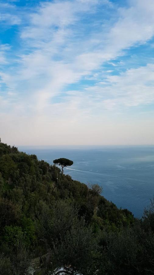 Yourhome - Relais Casa Degli Angeli Positano Exteriér fotografie